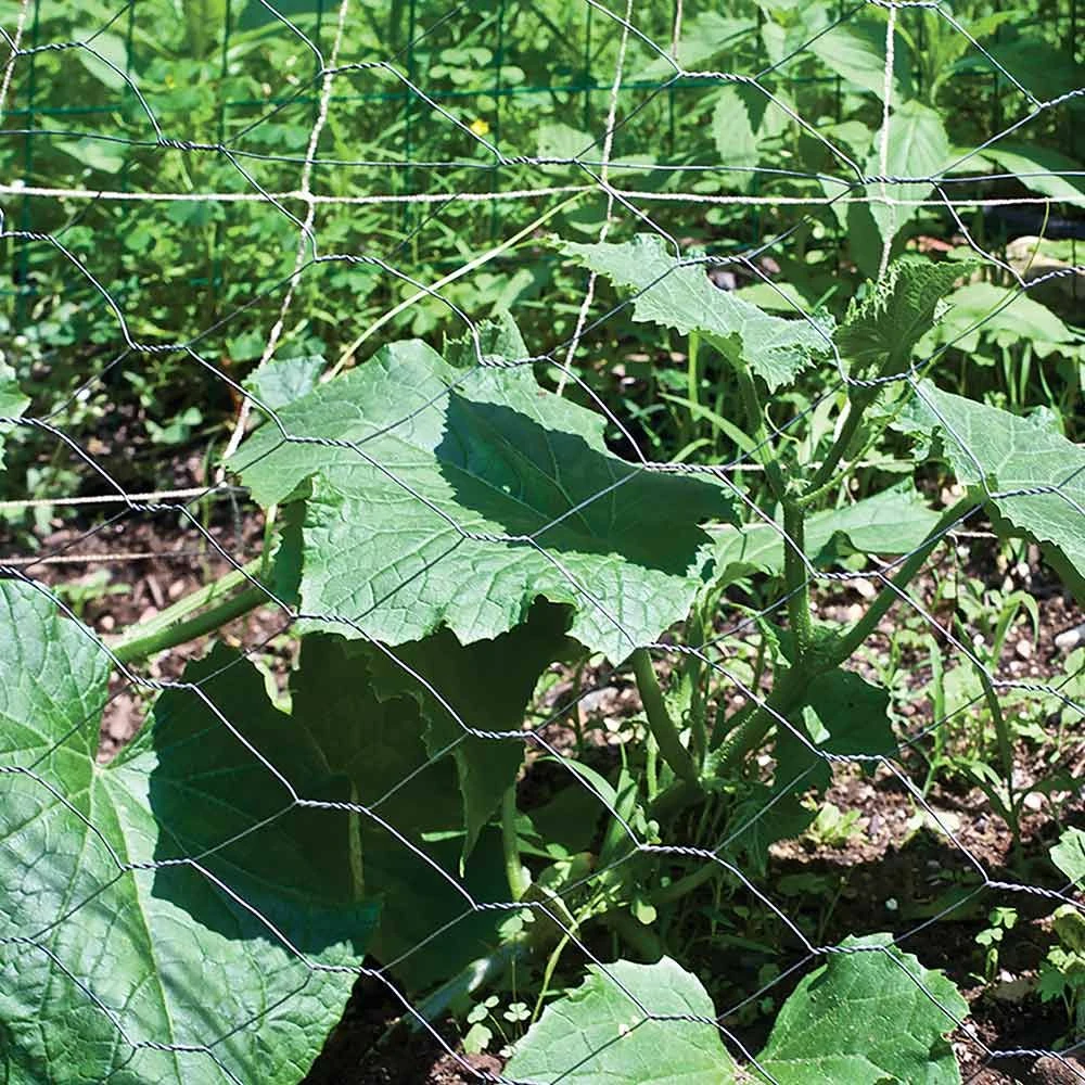 1008164_new_4.jpg Garden Zone Garden Craft Galvanized Poultry Hex Netting 2 In. -Fencing sale 1008164 new 4