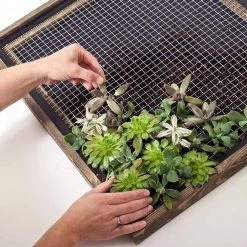 Garden Zone Garden Craft 1/2 In. Galvanized Hardware Cloth 10 Garden Zone Garden Craft 1/2 In. Galvanized Hardware Cloth -Fencing sale 1008171 new 4