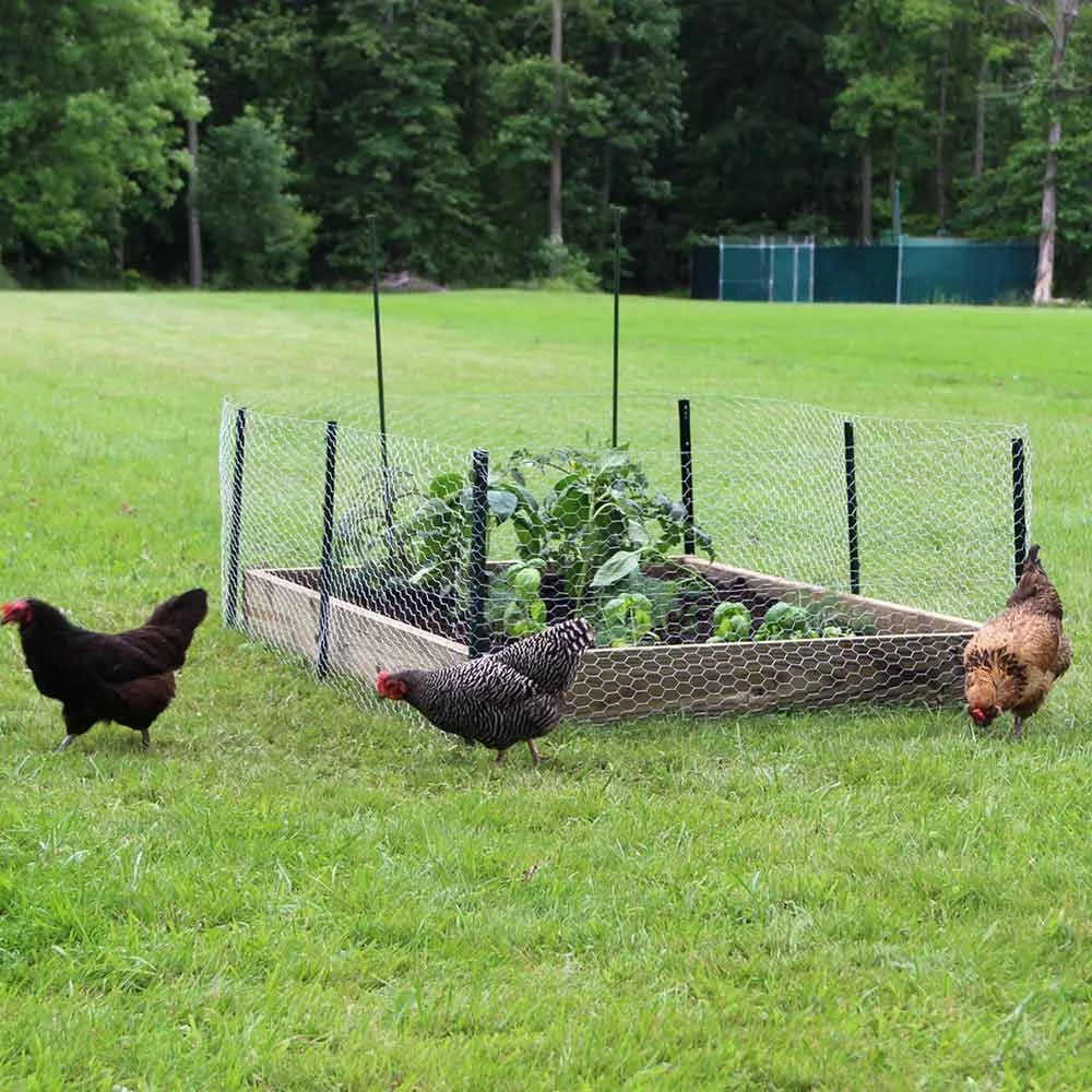 Garden Zone Garden Craft Light Duty U Post 9 Garden Zone Garden Craft Light Duty U Post - Image 7