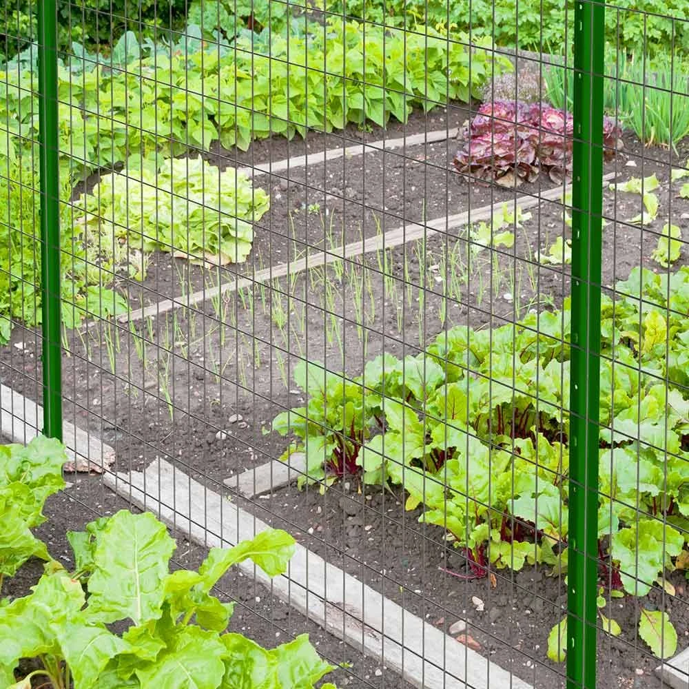 Garden Zone Garden Craft Light Duty U Post 12 Garden Zone Garden Craft Light Duty U Post - Image 10