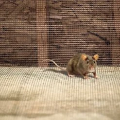 Garden Zone Garden Craft 1/8 In. Galvanized Hardware Cloth 5 Garden Zone Garden Craft 1/8 In. Galvanized Hardware Cloth -Fencing sale 7397344 new 4 1