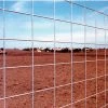 Ok Brand Cattle Fence Panel 1 Ok Brand Cattle Fence Panel -Fencing sale img10024519