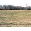 Ok Brand Fence Goat 4 Ft 12 1/2 Ga 4 In -Fencing sale img9651328